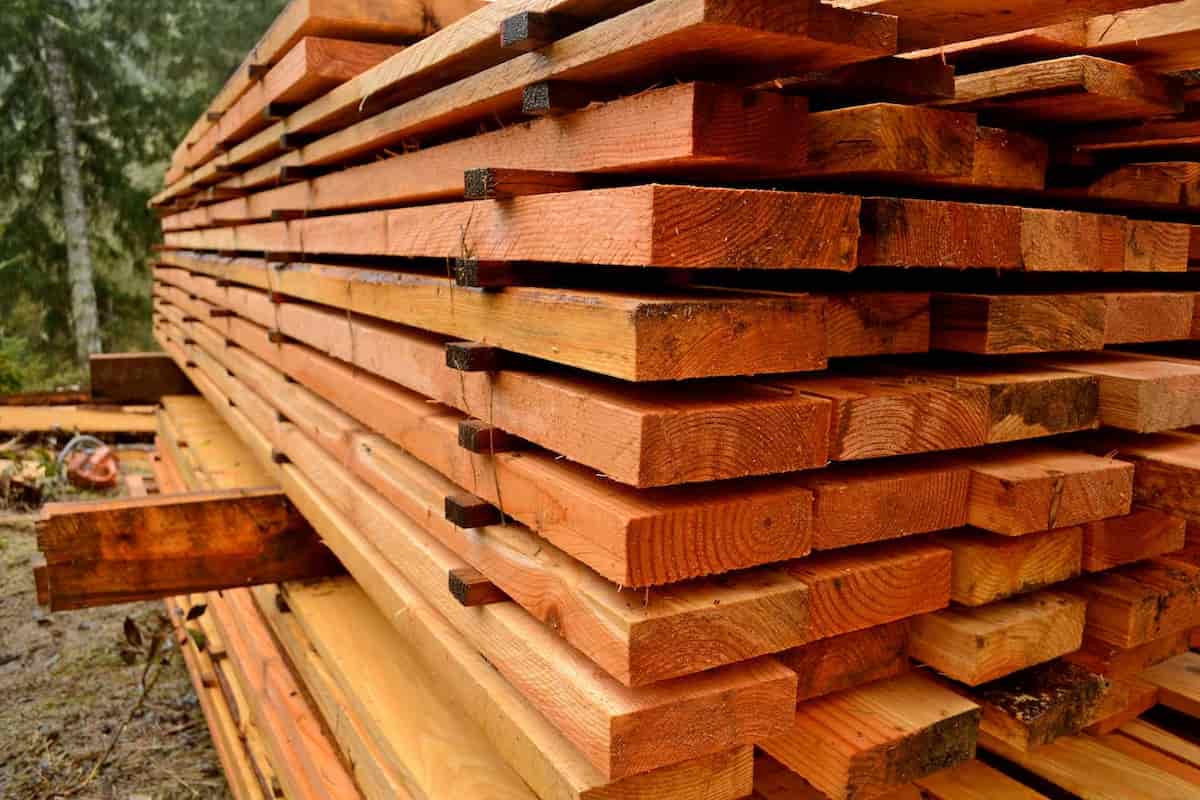 مناسب ترین قیمت چوب روسی نازک در دی ۱۴۰۱