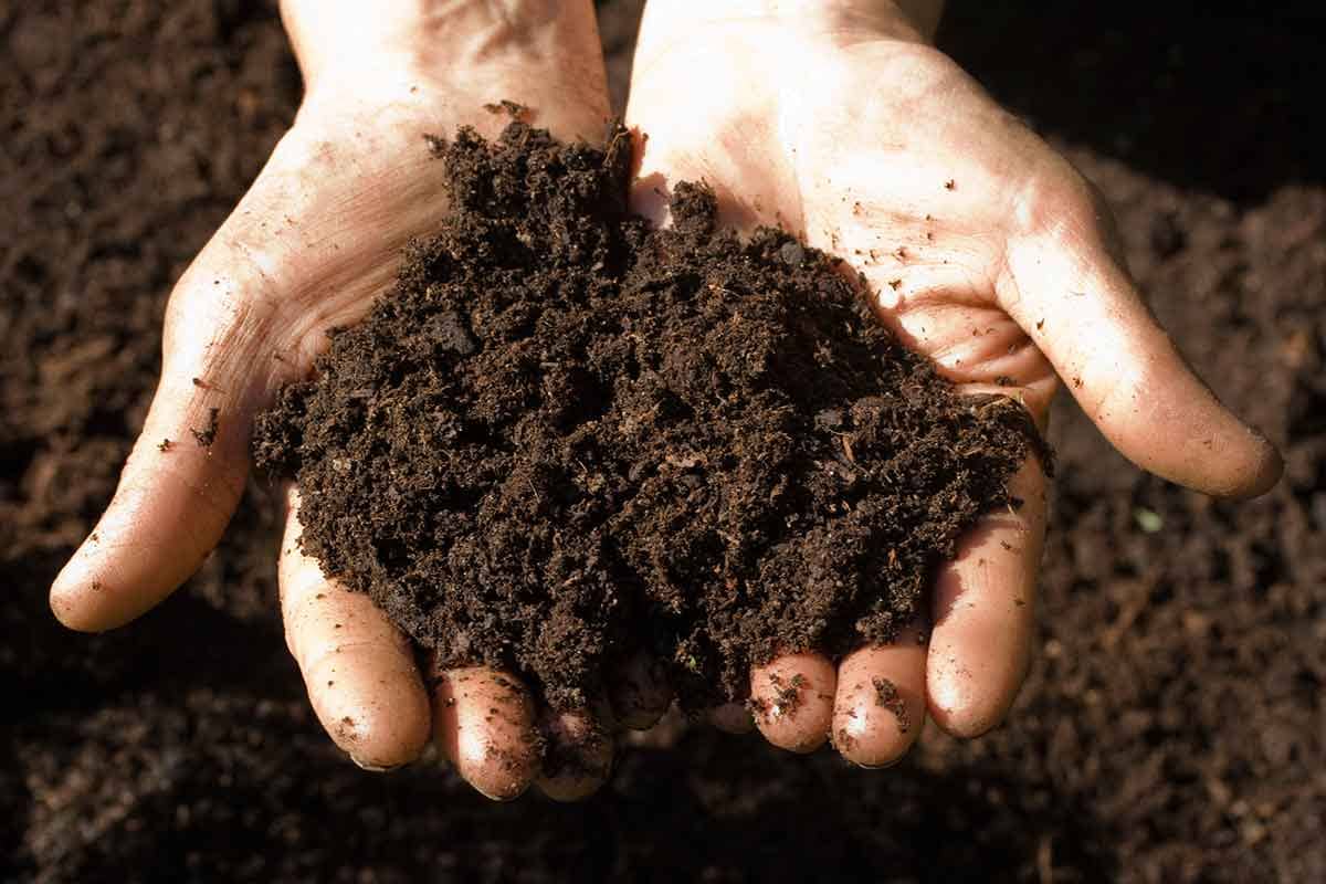 خرید خاک روی | فروش انواع خاک روی با قیمت مناسب