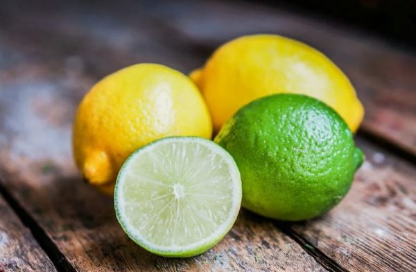 خرید لیمو ترش سنگی جنوب + بهترین قیمت