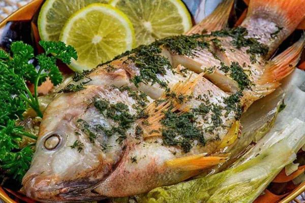 خواص ماهی تیلاپیا چیست + قیمت خرید