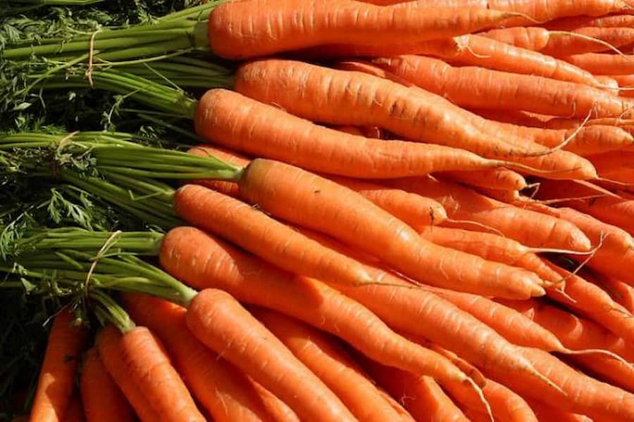 مشخصات هویج نارنجی محلی + قیمت خرید