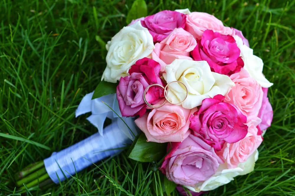 خرید گل رز سفید | فروش انواع گل رز سفید با قیمت مناسب