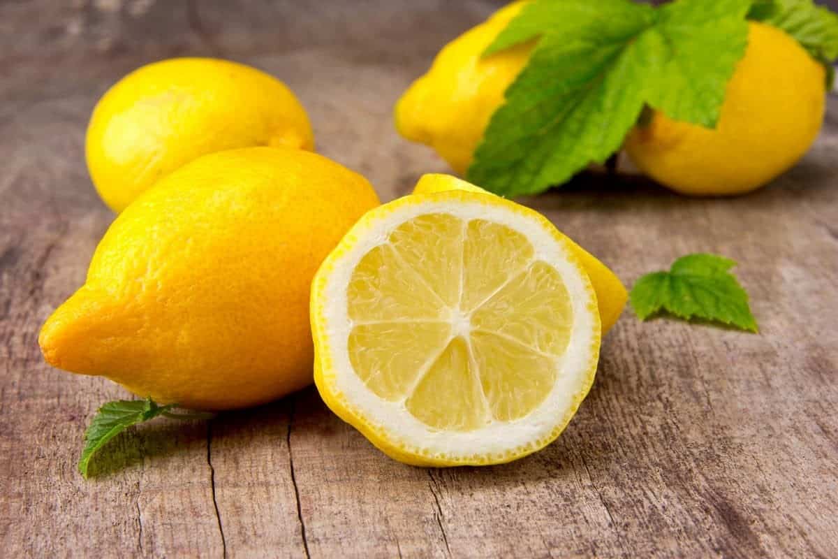 خرید لیمو ترش سبز بدون هسته + بهترین قیمت
