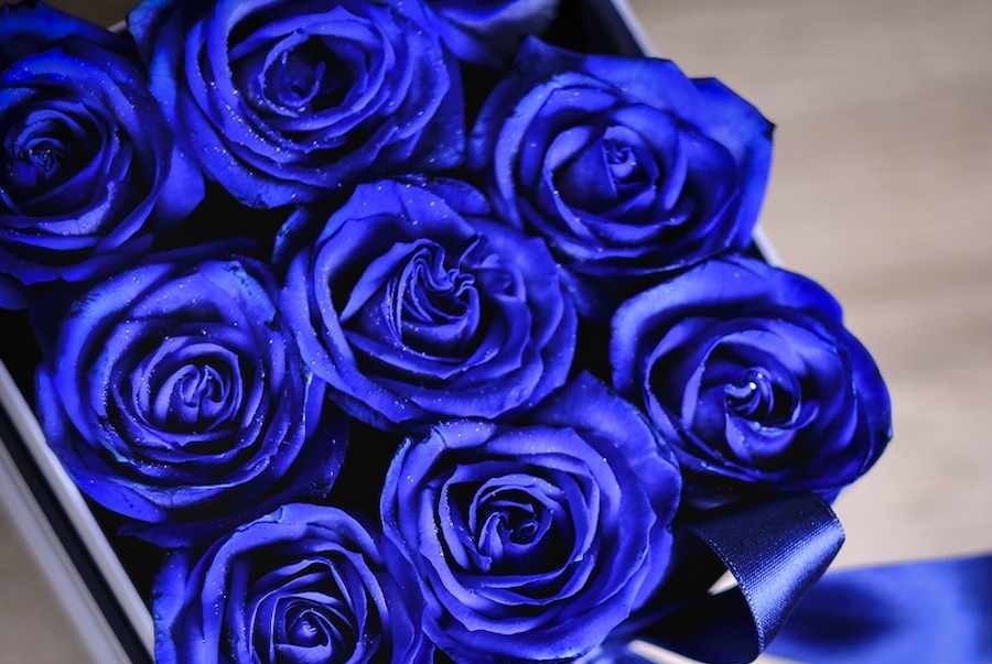 خرید باکس گل رز آبی با قیمت استثنایی