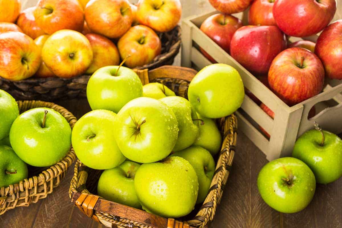 بهترین قیمت خرید سیب درختی شیراز