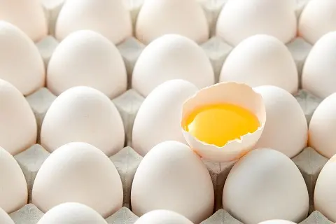 Achat d'œufs dans des cartons appariés laminés