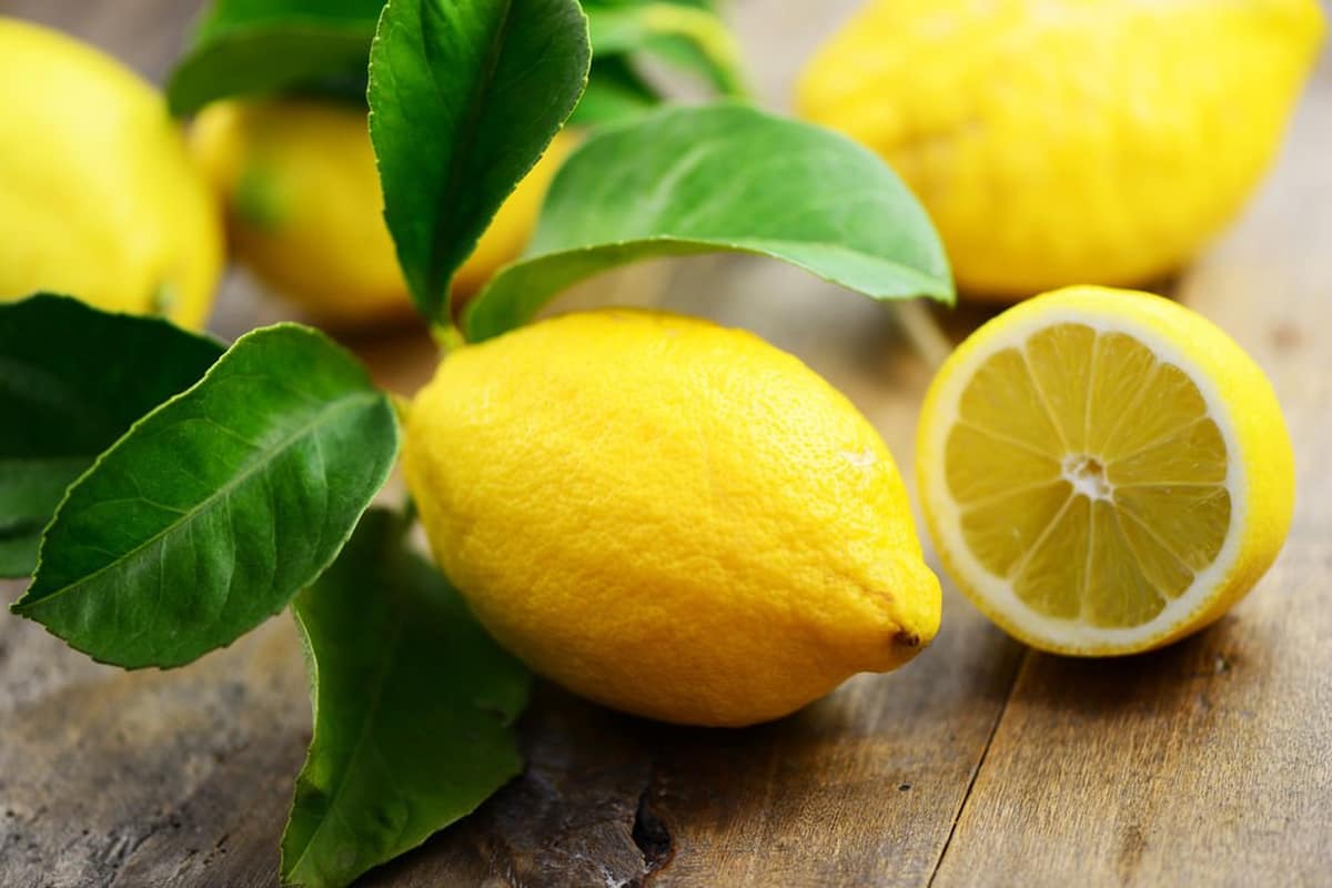 Citrons verts importés en France