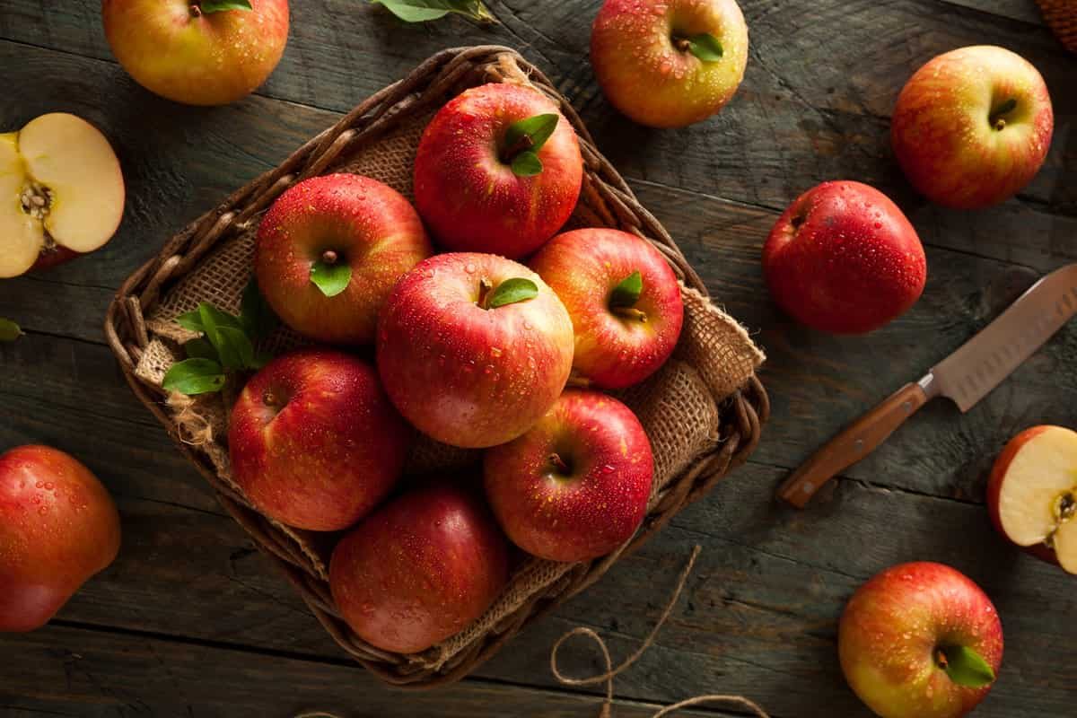 Le prix des pommes rouges délicieuses en Iran