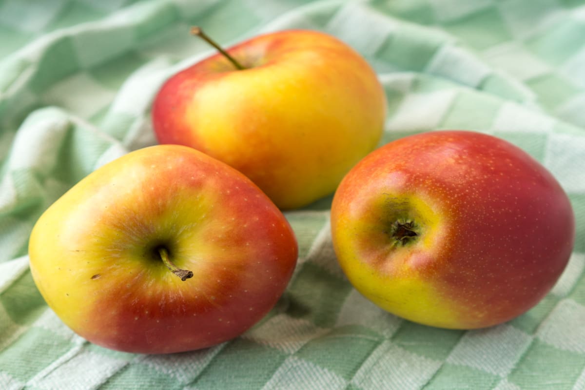 Exportation de pommes au Bangladesh