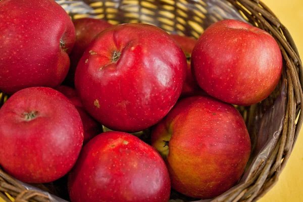 Le prix de gros des pommes en Iran