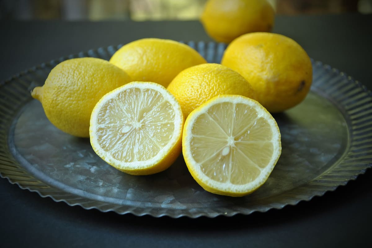 Amérique Espagne Exportation de citrons
