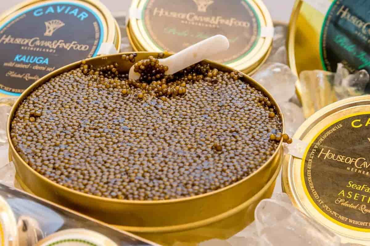 Prix ​​du caviar en 2022