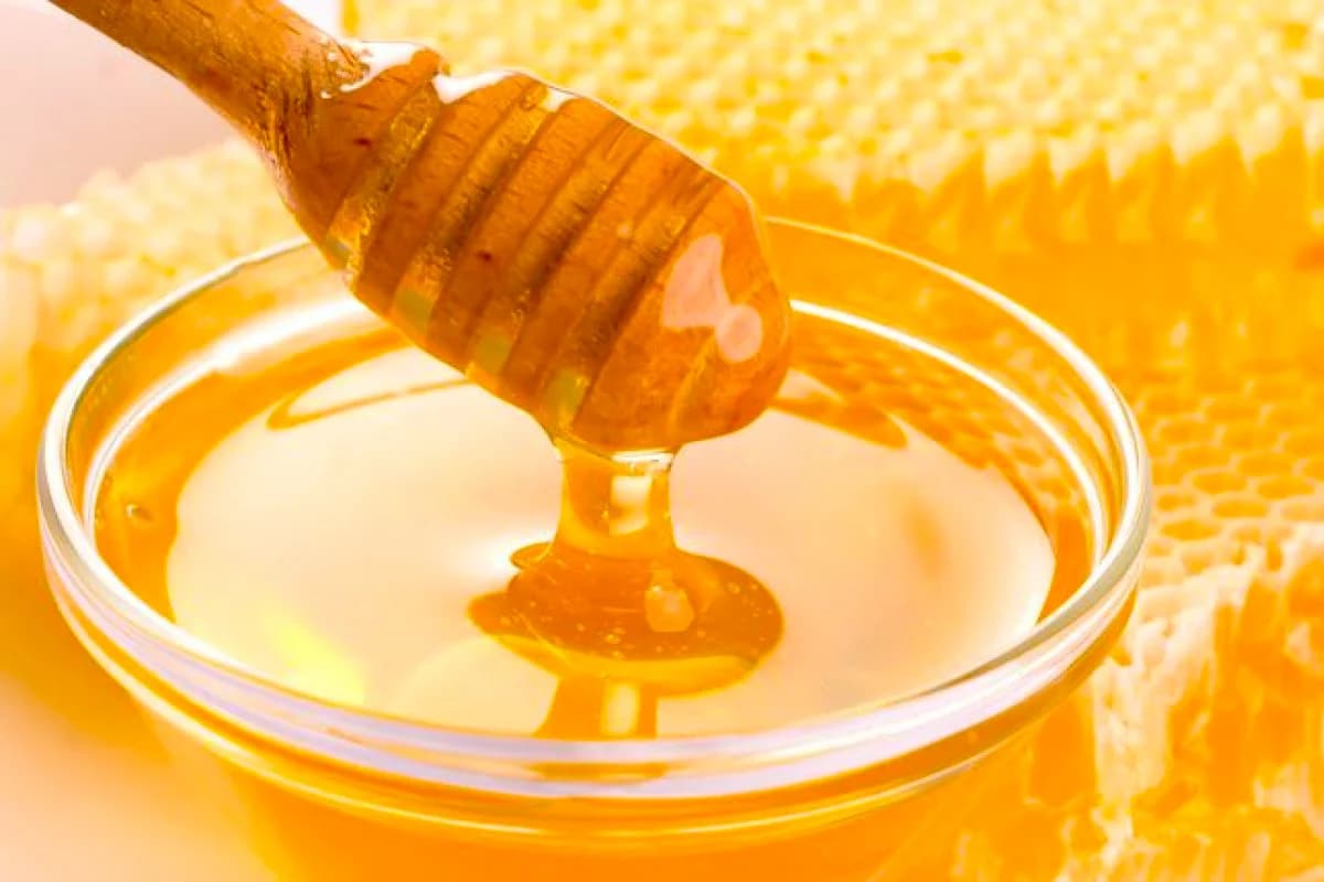 Coût du miel d’acacia par kg