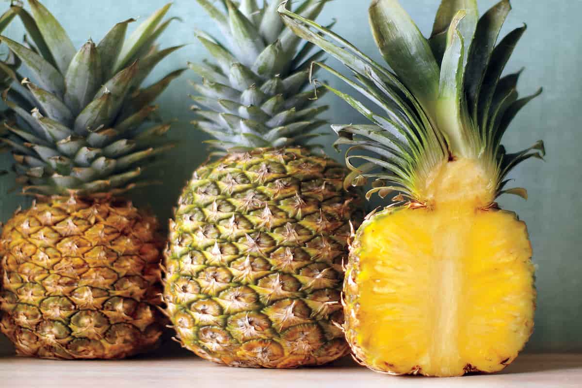 Ananas : saison, variétés et astuces de cuisine