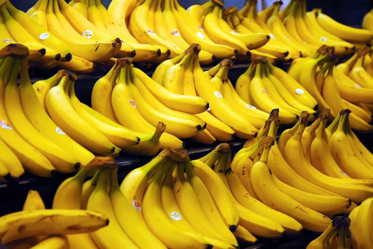 La banane fruit calorique