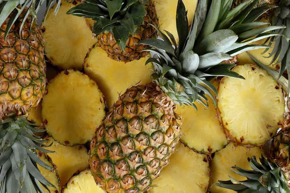 ananas variété