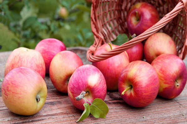 Prix de vente des pommes d'automne en Iran