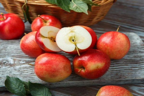 Acheter et vendre des pommes exportées en Iran à un prix raisonnable