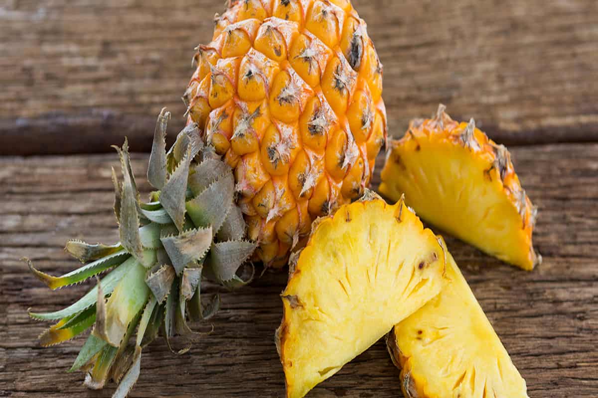 L'ananas  Cultures sucre