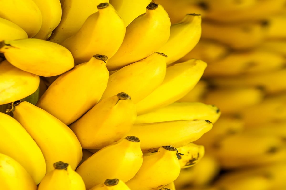 1 banane Valeur nutritionnelle et Tout à ce sujet