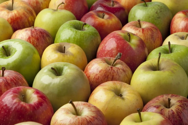 Règles d'exportation de fruits et des pommes rouge en Iran vers la Russie