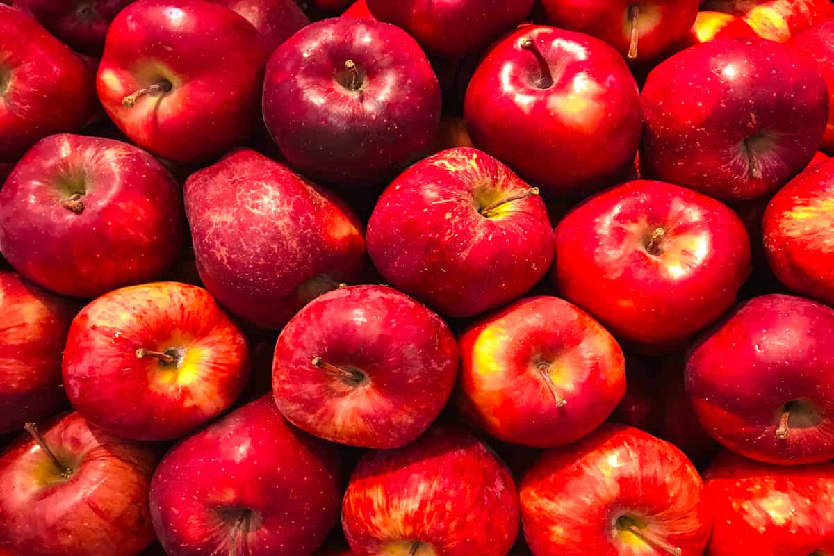 Comment exporter des pommes rouges en Iran vers la Russie