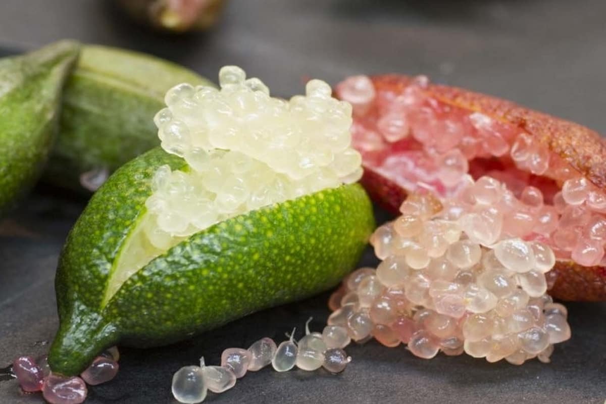 820 dirhams le kilo: le citron caviar est le nouveau produit de luxe  marocain
