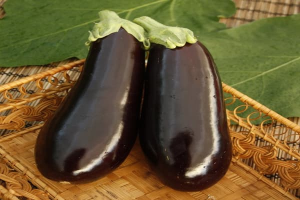 Prix de l'aubergine au kilo sur le marché avec livraison en ligne
