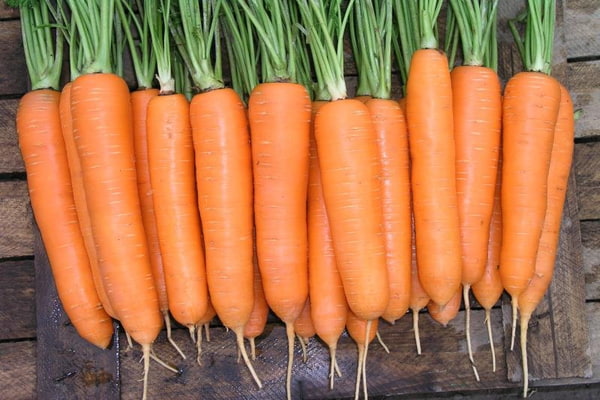 le prix du kg de carotte sur les marchés de paris par rapport à d'autres pays
