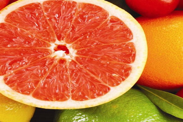 Arbre fruitier orange sanguine et des spécifications ça
