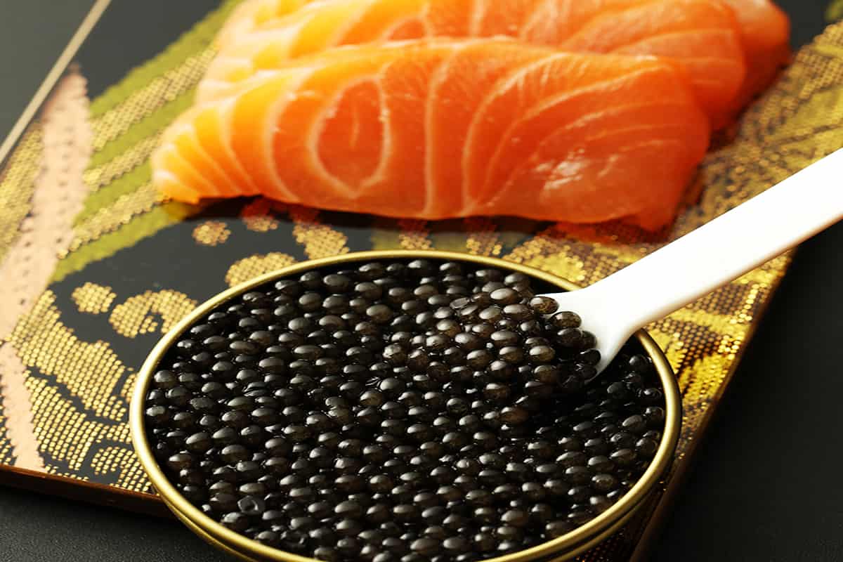 caviar beluga quel poisson