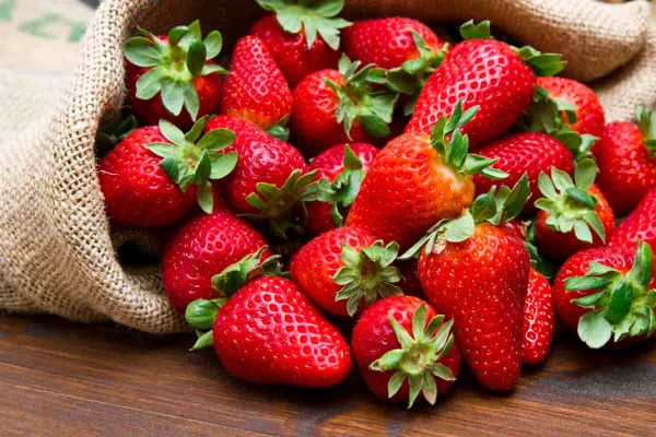 fraises du québec et  prix des fraises du québec 2022