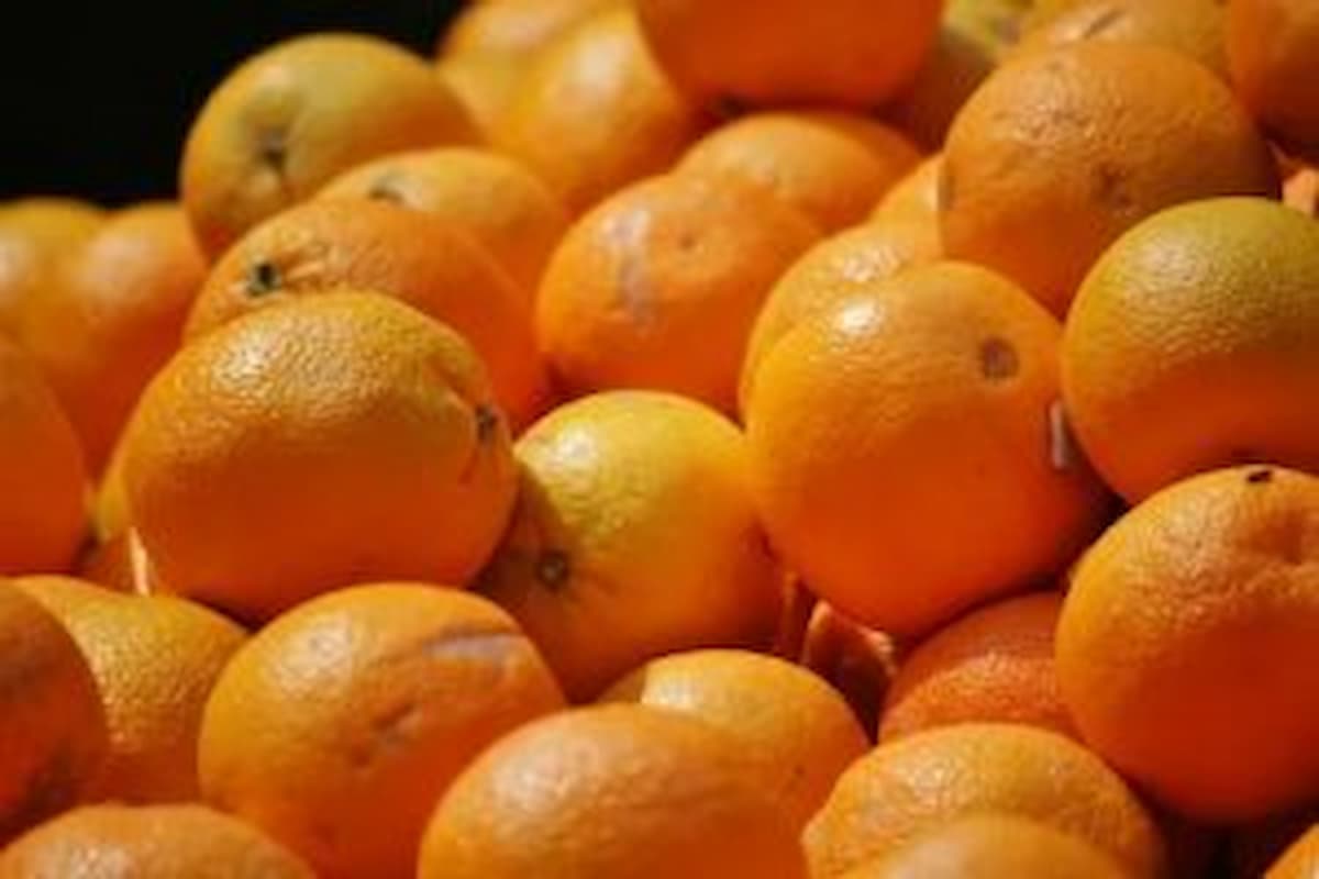 Le Prix de L’orange Fruit