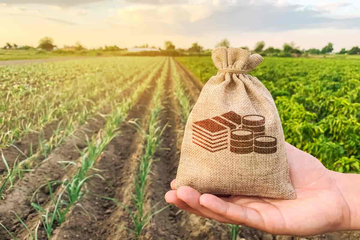 बिक्री के लिए छोटे कृषि उपकरण