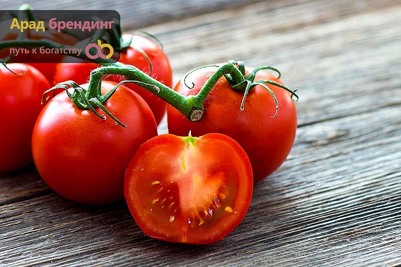 Купить томаты от производителя