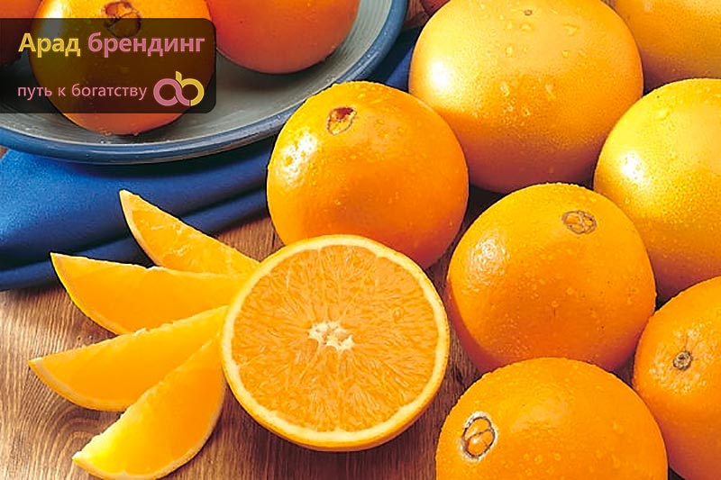 Купить апельсины оптом и в розницу по лучшей цене